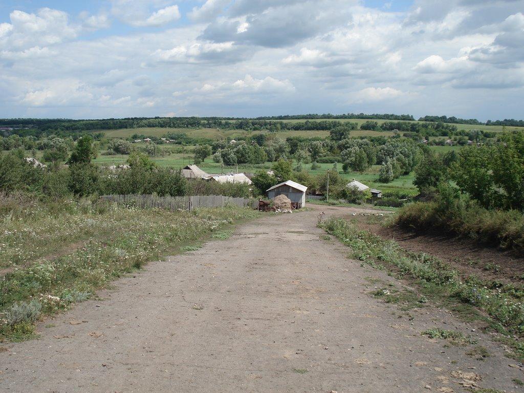 Катеринівка з panoramio.com - Катеринівка