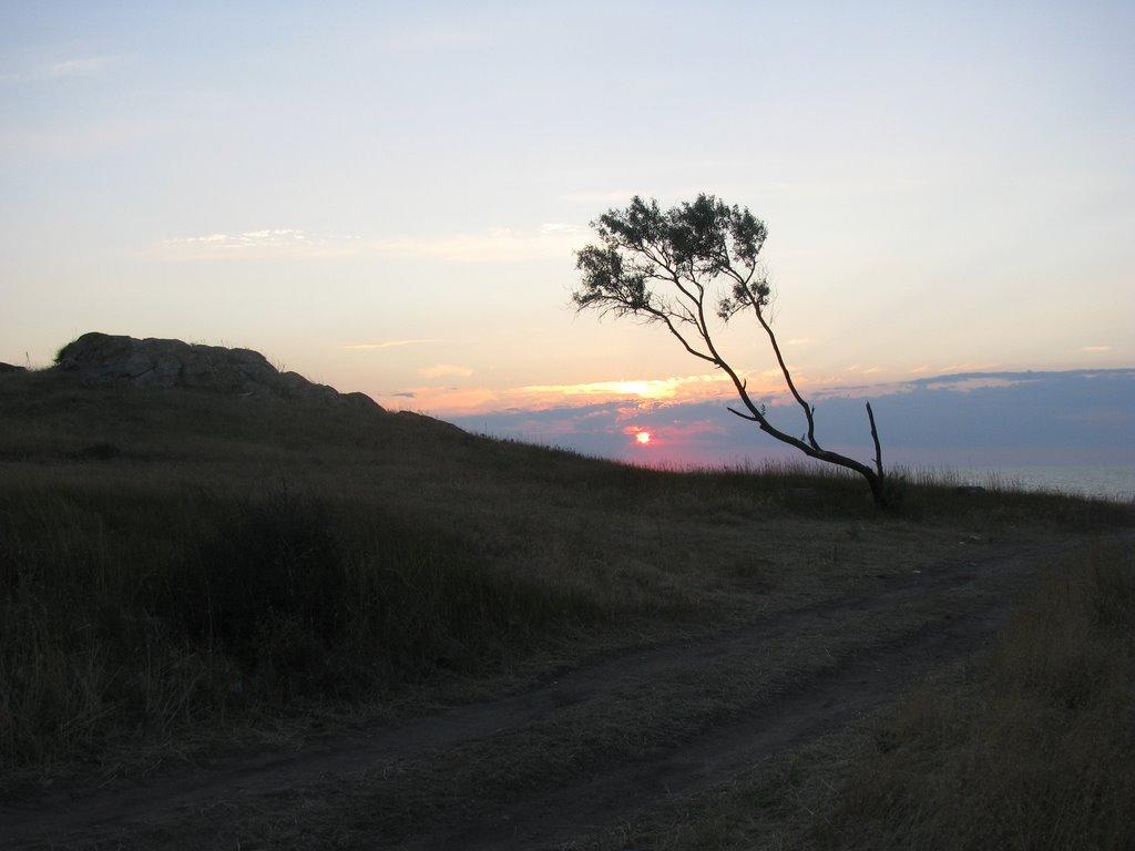 Щолкіне з panoramio.com - Щолкіне