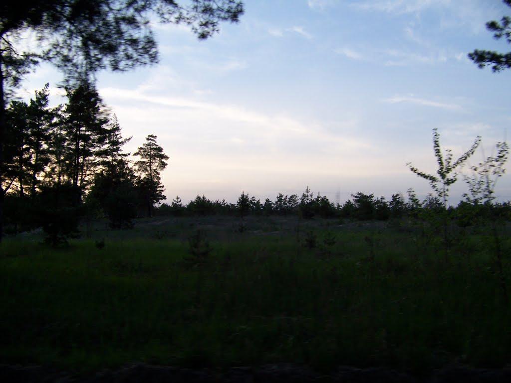 Самусіївка з panoramio.com - Самусевка