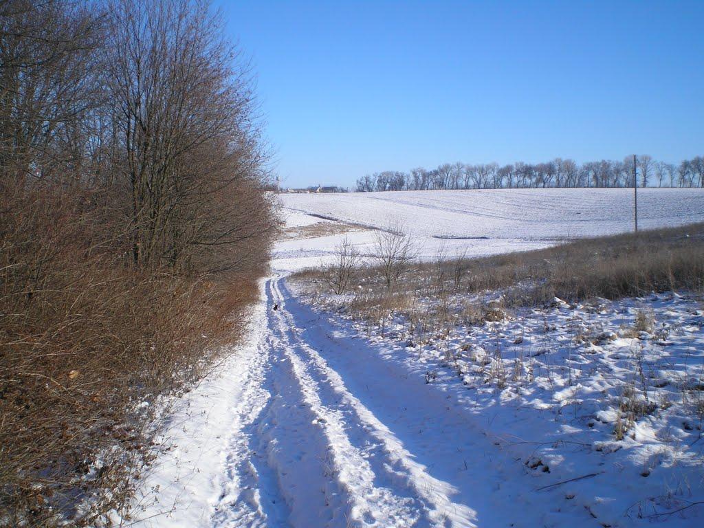 Махаринці з panoramio.com - Makharyntsi