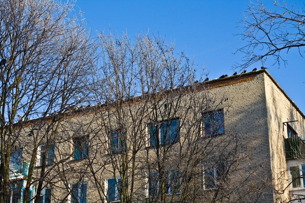 Рівне з panoramio.com (ч.5) - Ровно