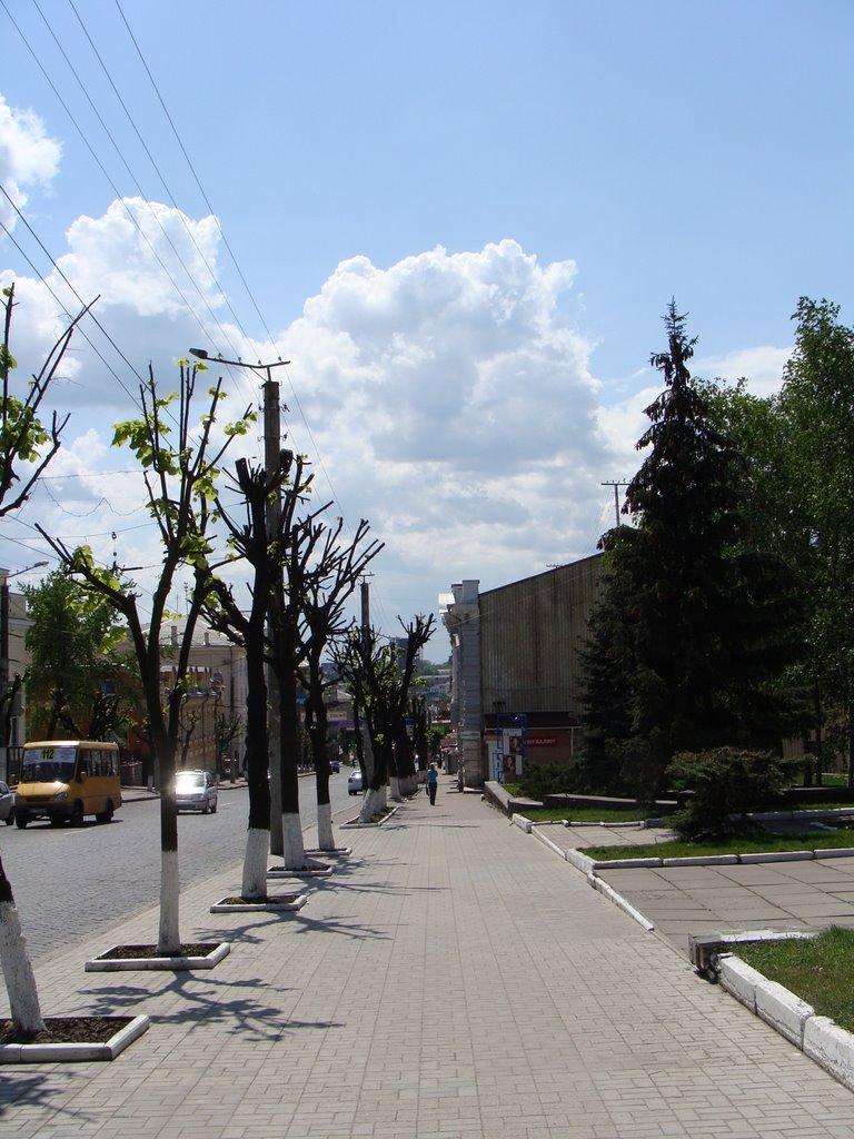 Кіровоград з panoramio.com (ч.5) - Кропивницкий