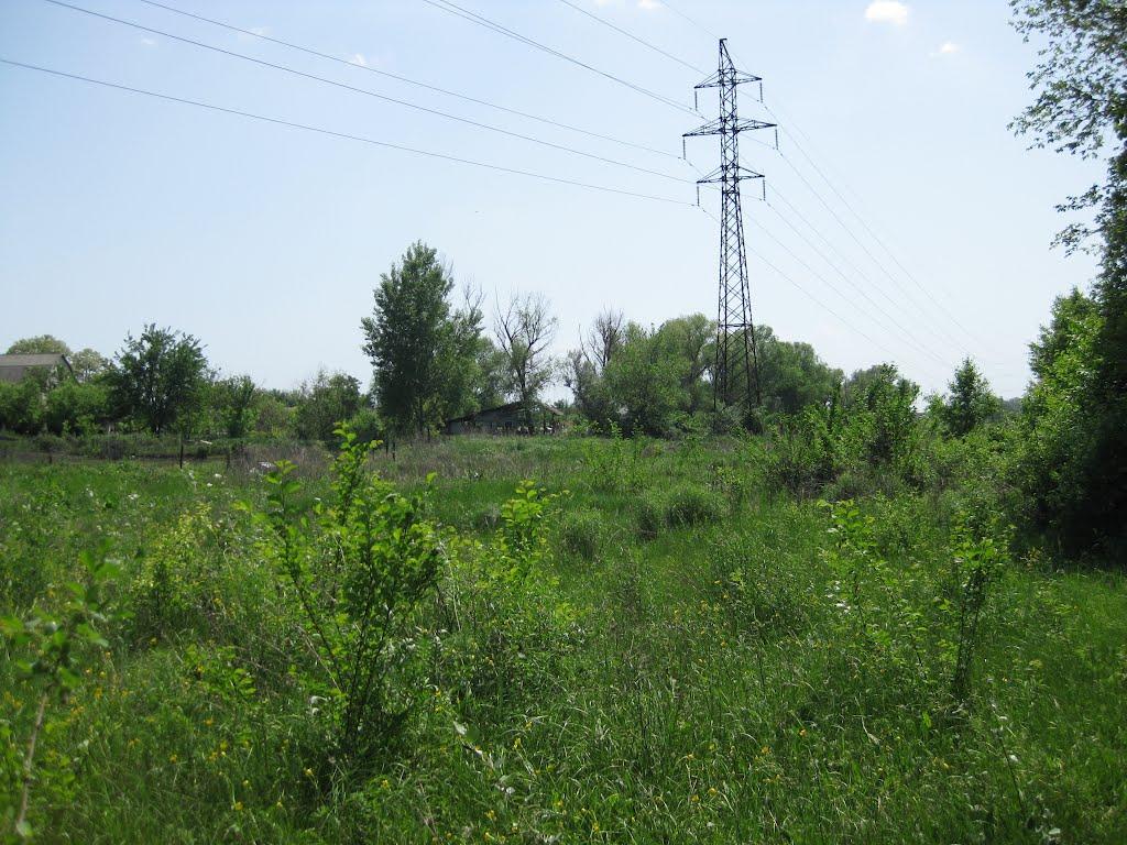 Дмитрівка з panoramio.com - Дмитрівка