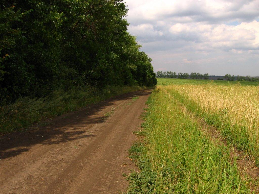 Катеринівка з panoramio.com - Катериновка