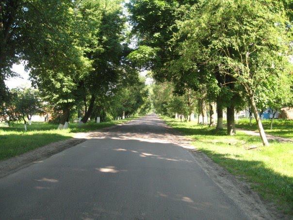 Велика Омеляна з panoramio.com - Велика Омеляна