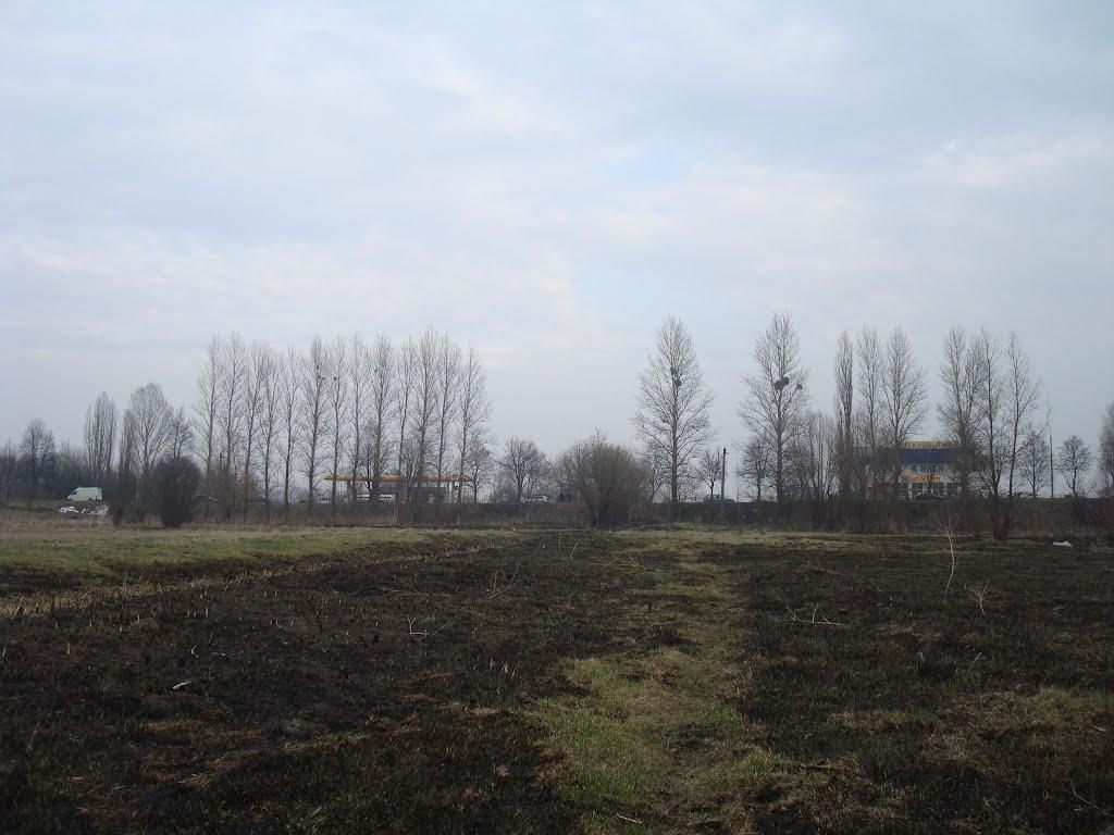 Хмельницький з panoramio.com (ч.13) - Хмельницкий