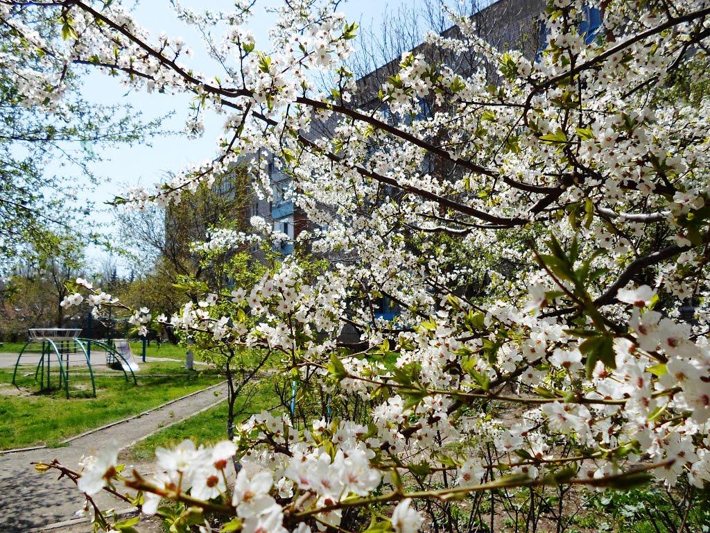 Бердянськ з panoramio.com (ч.3) - Бердянськ