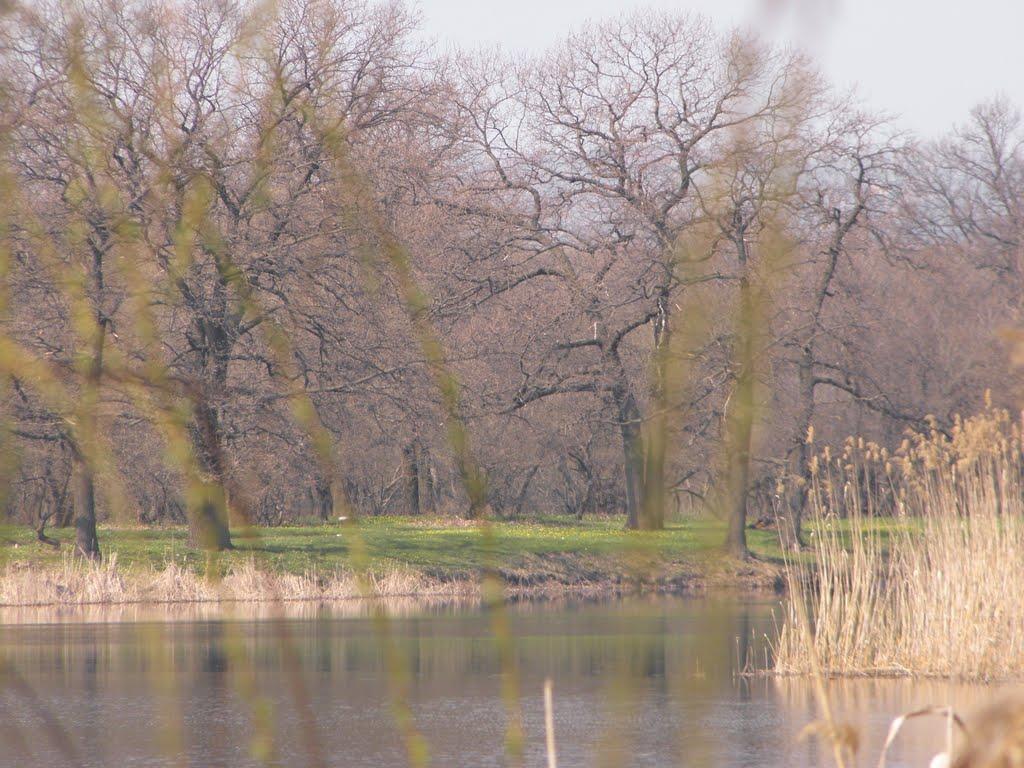 Сєверодонецьк з panoramio.com (ч.3) - Северодонецк