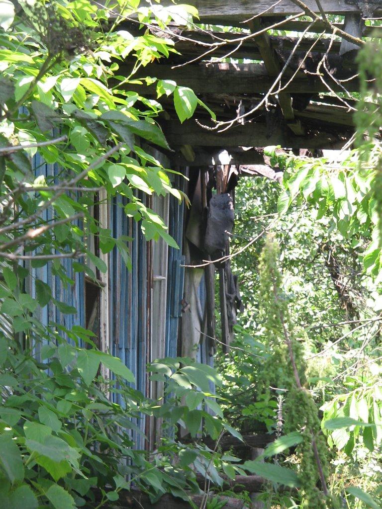 Велика Бабка з panoramio.com - Велика Бабка