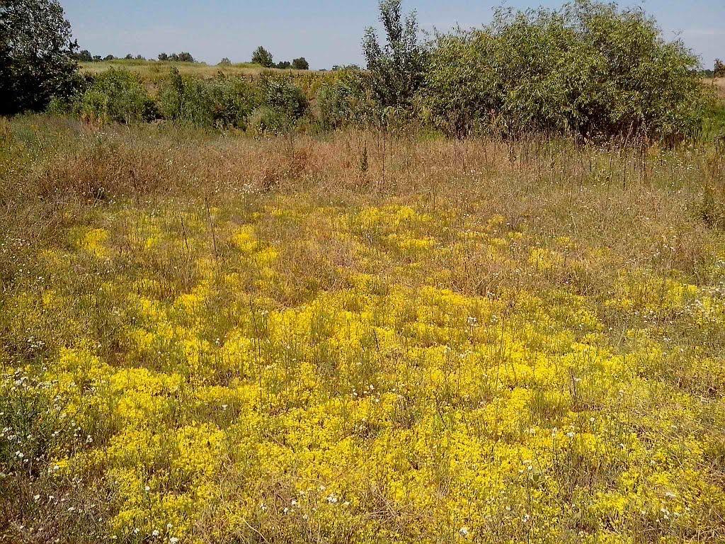 Говтва з panoramio.com - Говтва