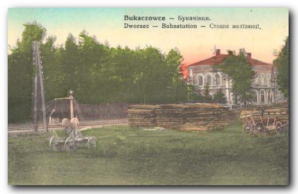 Букачівці з panoramio.com - Bukachivtsi