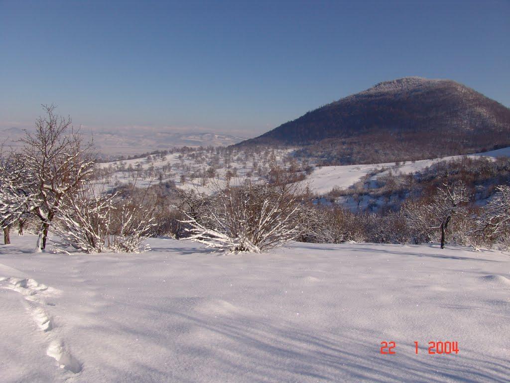 Тячів з panoramio.com - Тячев