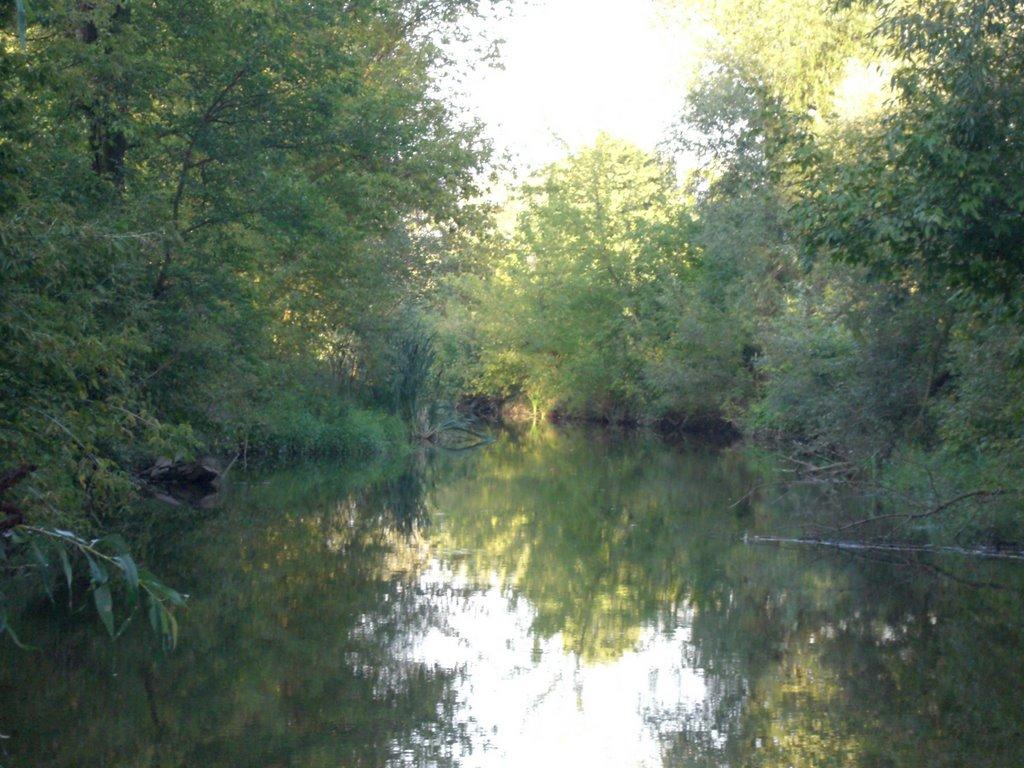 Ладижин з panoramio.com (ч.2) - Ладижин