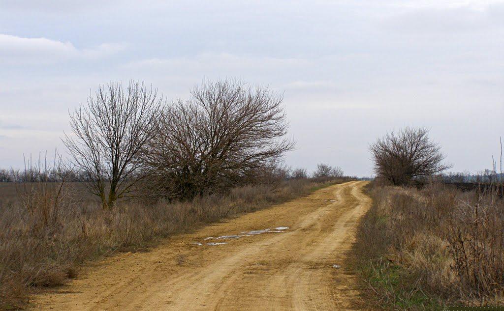 Кривий Ріг з panoramio.com (ч.9) - Кривой Рог