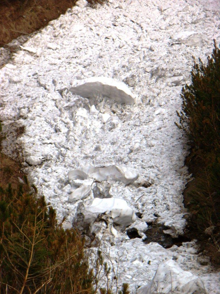 Осмолода з panoramio.com (ч.2) - Осмолода