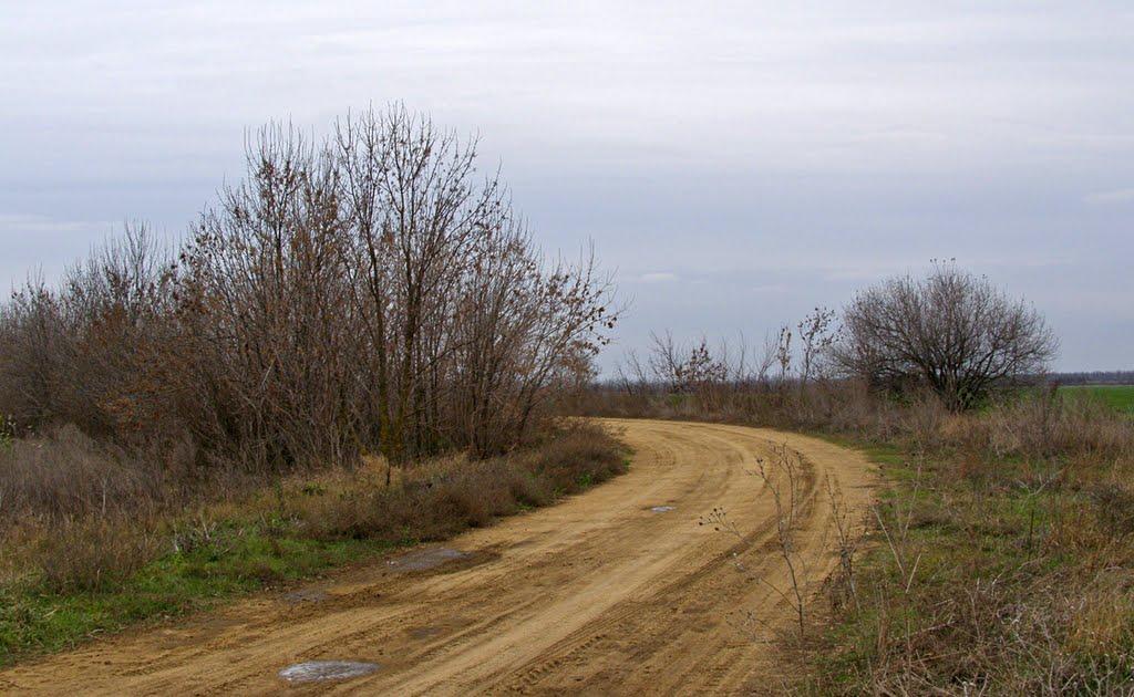 Бецилове з panoramio.com - Бецилове