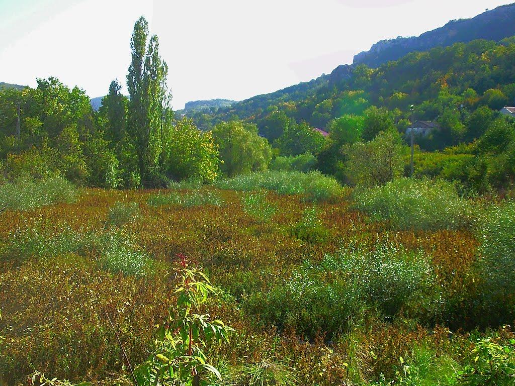 Залісне з panoramio.com (ч.2) - Залесное