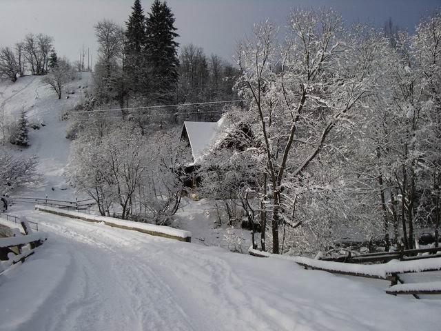 Бистриця з panoramio.com - Бистриця