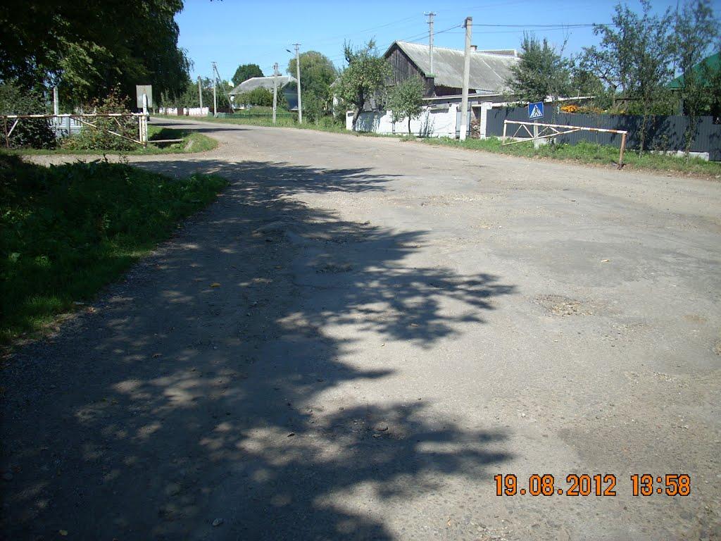 Довгий Войнилів з panoramio.com - Довгий Войнилів