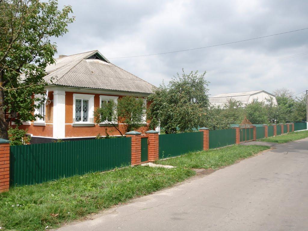 Лісоводи з panoramio.com - Лісоводи