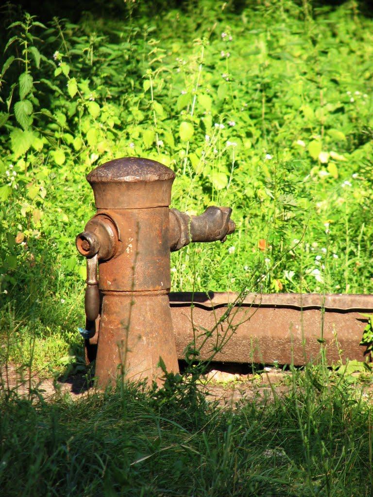 Центральне з panoramio.com - Центральне