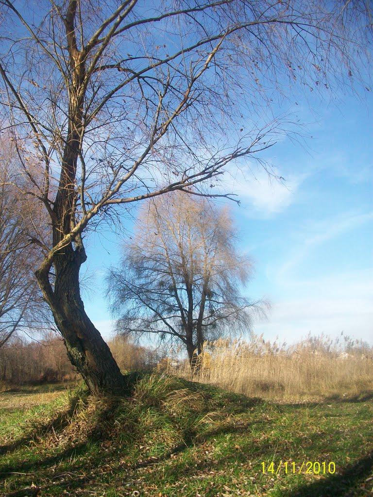 Червонозаводське з panoramio.com - Червонозаводське