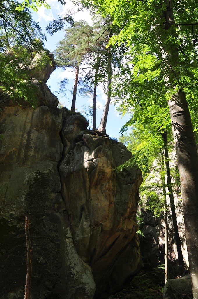 Поляниця з panoramio.com - Поляниця