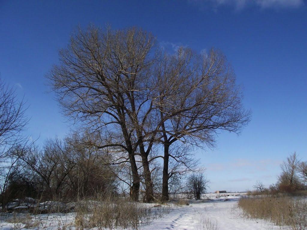 Кремінець з panoramio.com - Kreminets