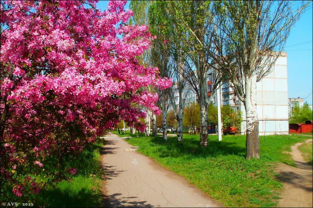 Артемівськ з panoramio.com (ч.2) - Артемівськ