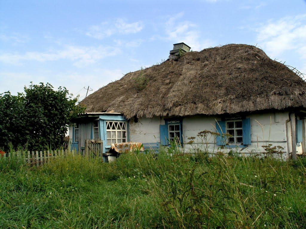 Комарівка з panoramio.com - Комарівка