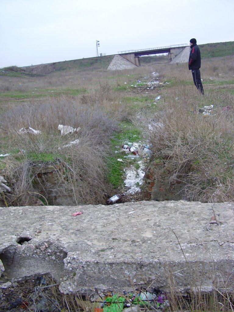Октябрське з panoramio.com - Октябрське