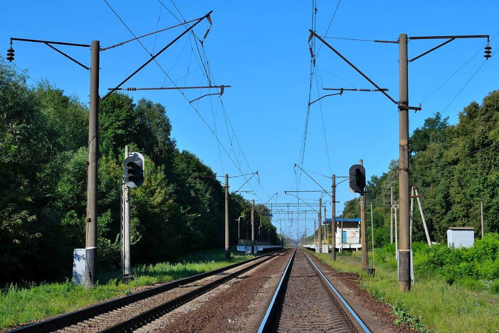 Марківці з panoramio.com - Markivtsi