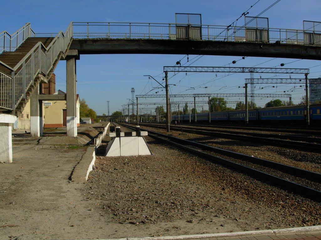 Покотилівка з panoramio.com - Покотилівка