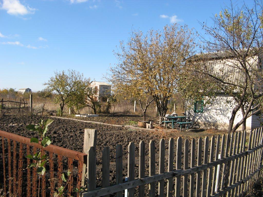 Павлоград з panoramio.com (ч.2) - Павлоград