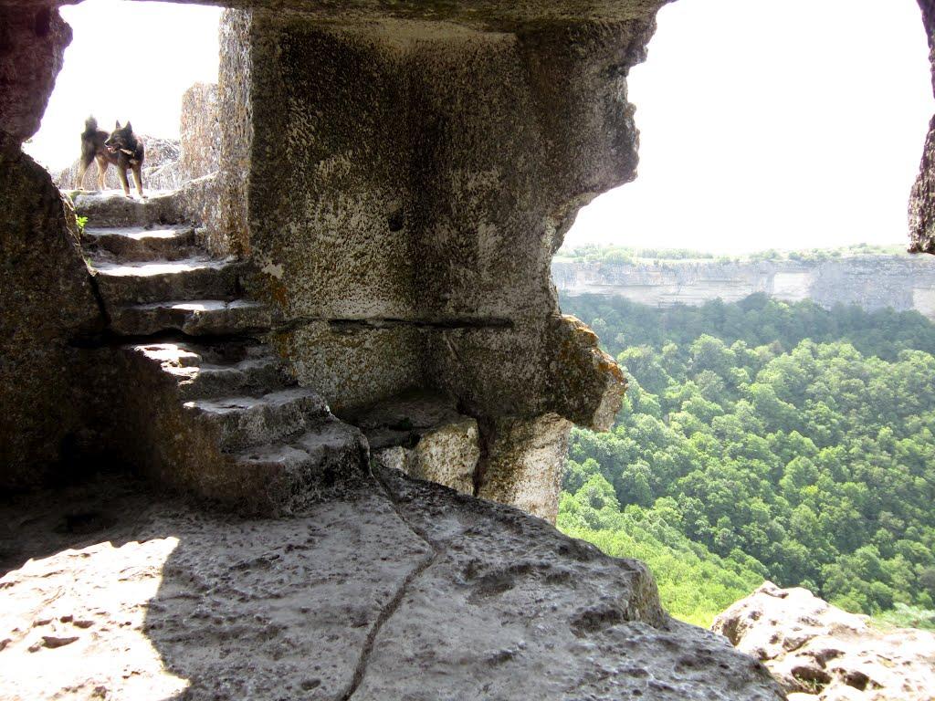 Велике Садове з panoramio.com - Большое Садовое