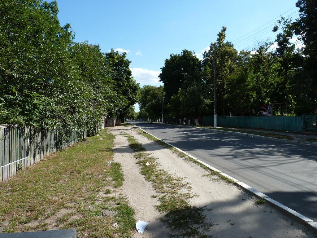 Ірпінь з panoramio.com (ч.2) - Ірпінь