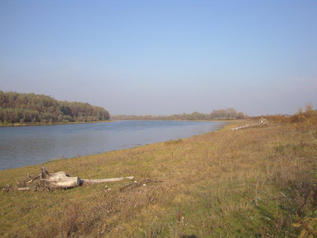 Количівка з panoramio.com - Количівка