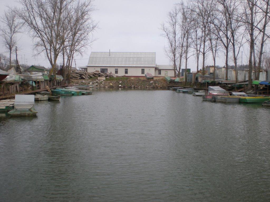 Яськи з panoramio.com - Яськи