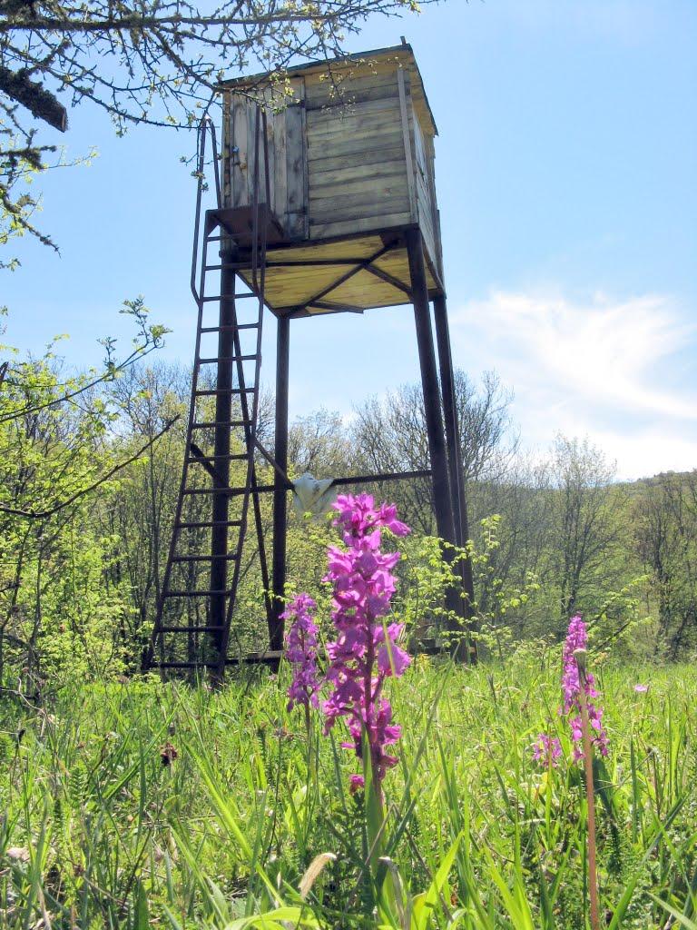 Резервне з panoramio.com (ч.4) - Резервное