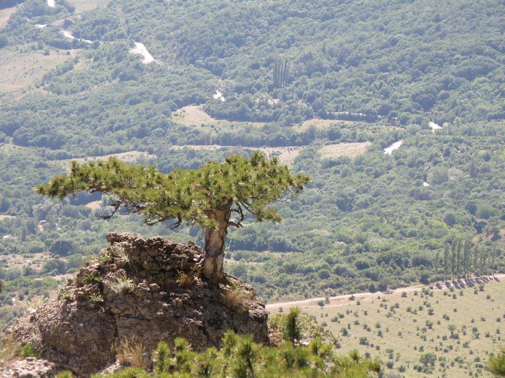 Лучисте з panoramio.com (ч.2) - Лучисте