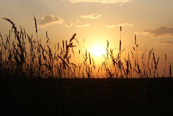 Велика Омеляна з panoramio.com - Велика Омеляна