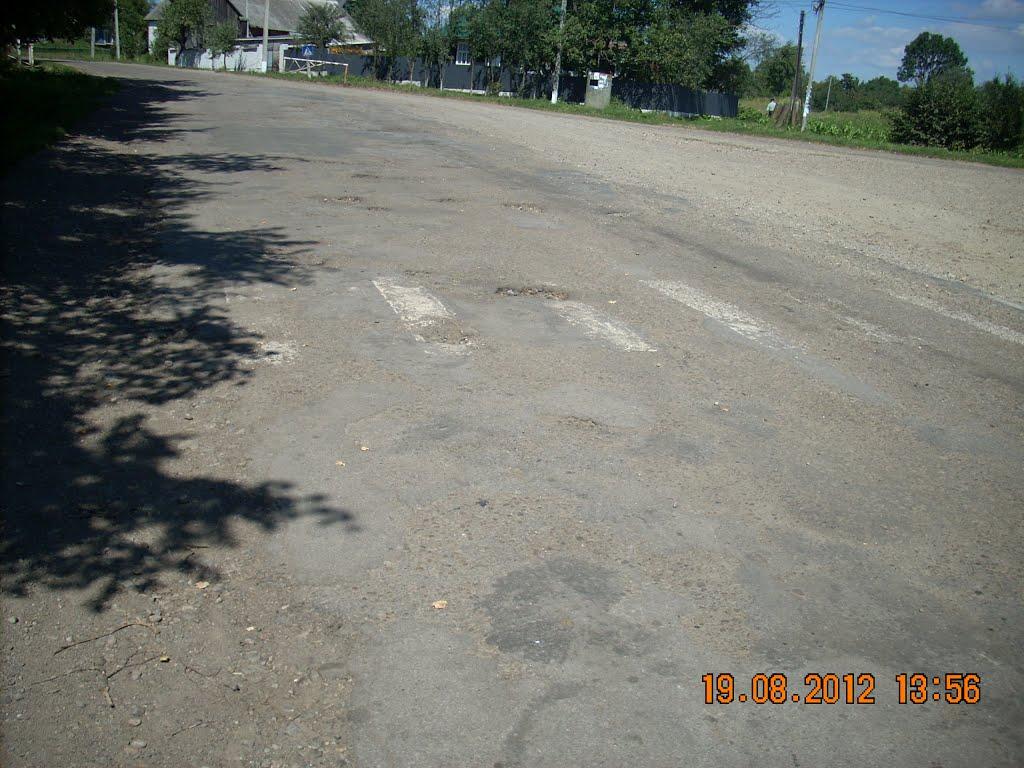 Довгий Войнилів з panoramio.com - Довгий Войнилів