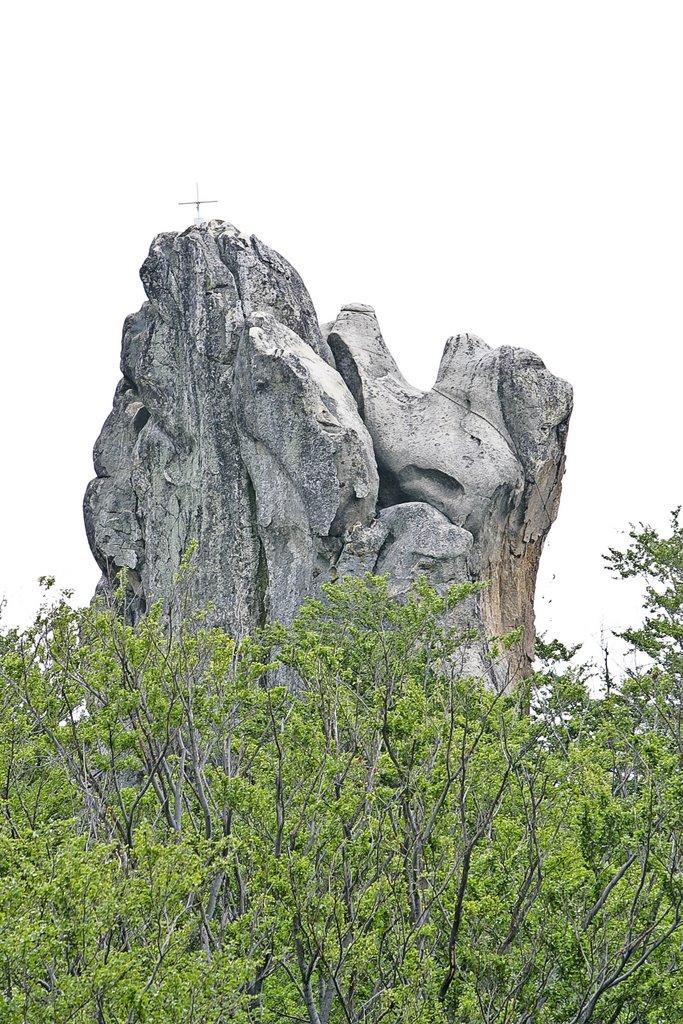 Поляниця з panoramio.com - Поляниця