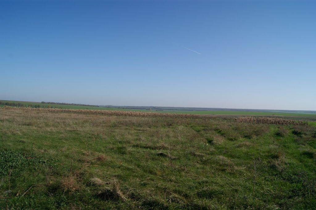 Верхівка з panoramio.com - Верхівка