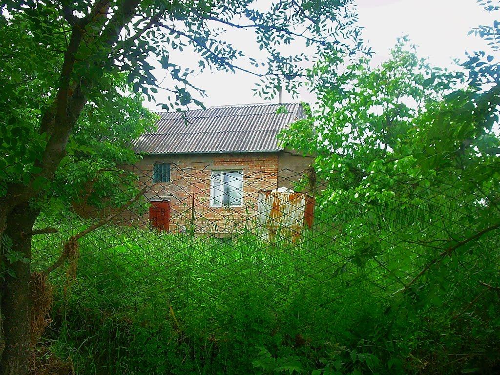 Краснолісся з panoramio.com - Краснолісся