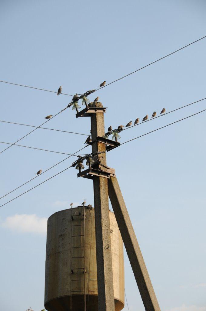 Деремезна з panoramio.com - Деремезна