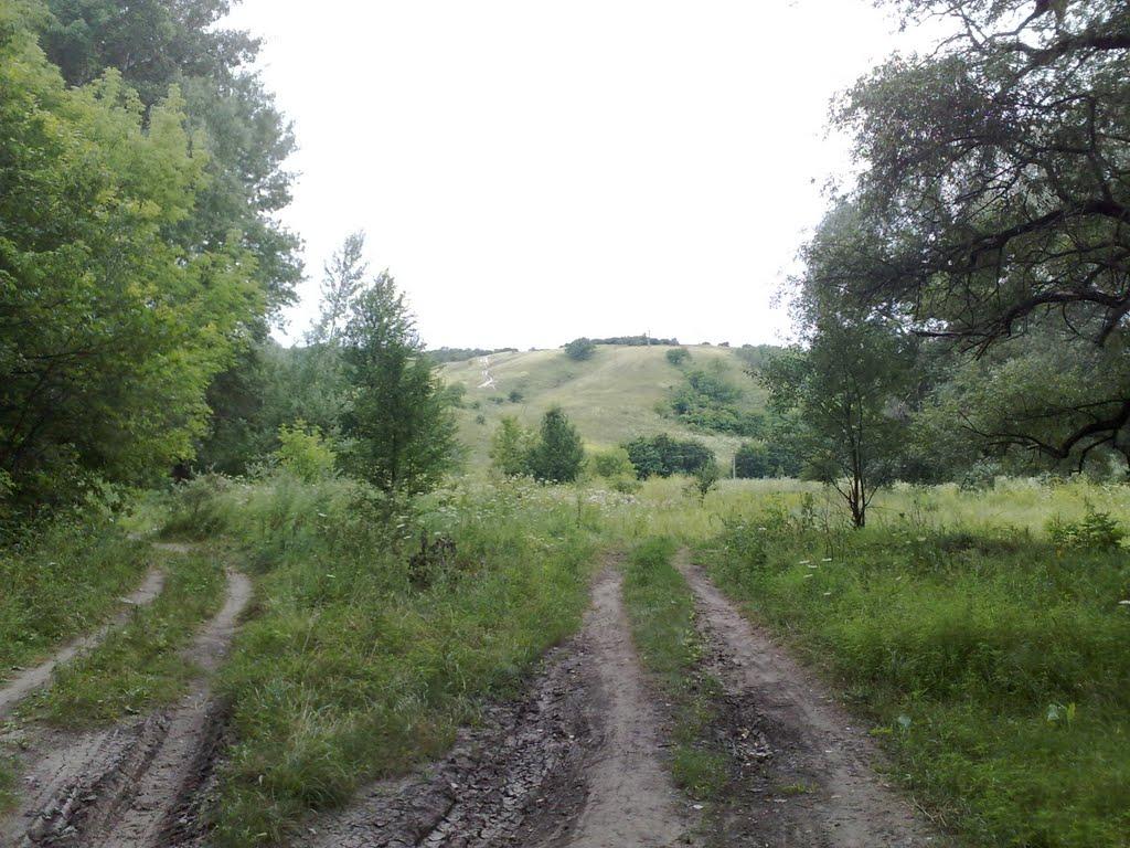 Донецьке з panoramio.com - Донецкое