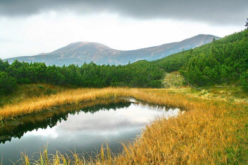 Говерла з panoramio.com (ч.2) - Говерла