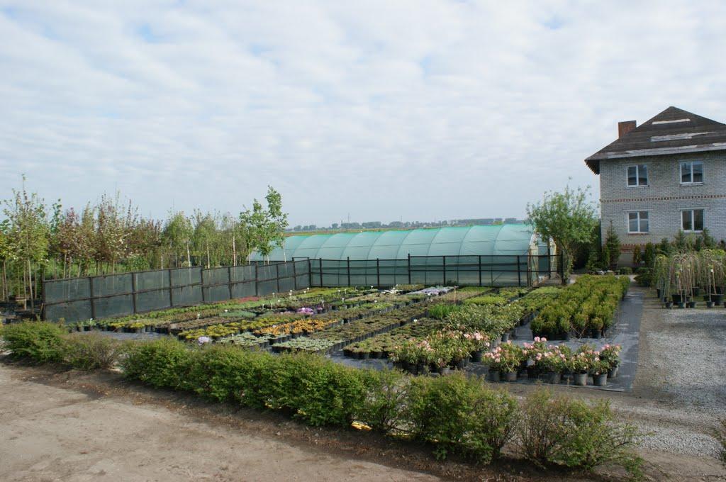 Двірець з panoramio.com - Двірець