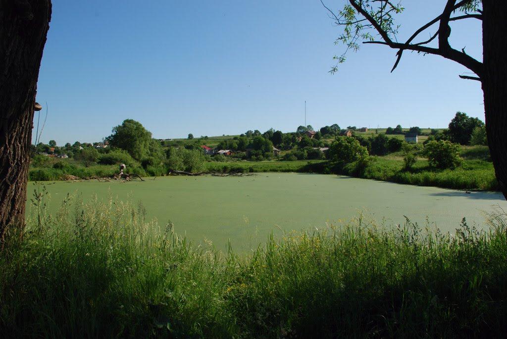 Старе Село з panoramio.com - Старе Село